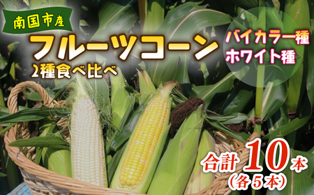 [先行予約]とうもろこし 2種食べ比べ 10本(バイカラー ホワイ)とうもろこし スイート コーン