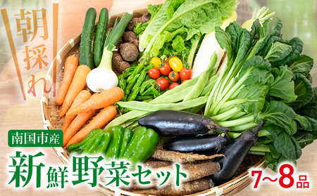 新鮮 野菜セット ( 7〜8品 ) 季節の野菜