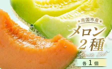 贈答用 メロン 青肉・赤肉 セット 各1個