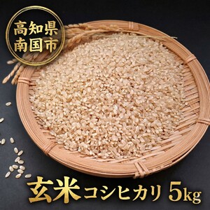 玄米 コシヒカリ 5キロ 5kg 数量限定
