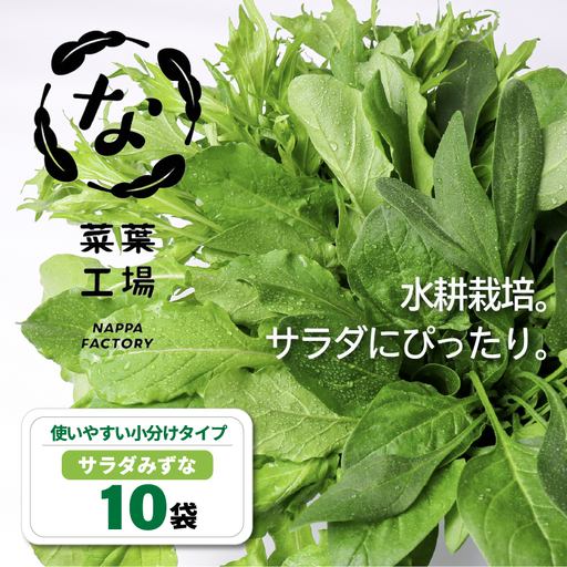 サラダみずな サラダセット | 水菜 水耕 栽培 新鮮 葉物 野菜 ドレッシング 南国市