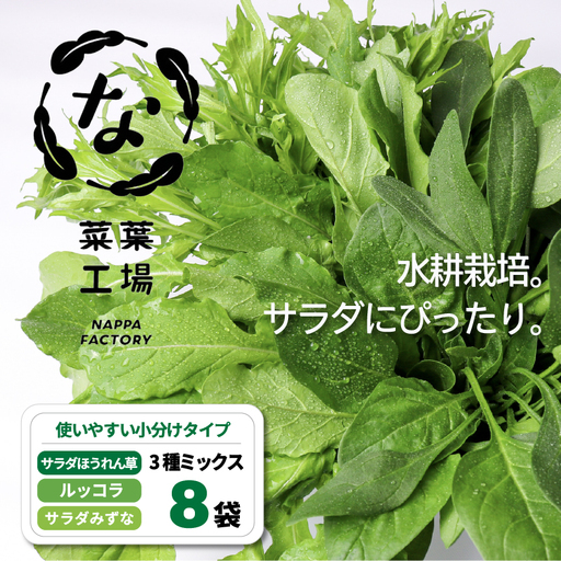 3種ミックス ルッコラ ほうれん草 みずな サラダセット | 水菜 ほうれんそう 水耕 栽培 新鮮 葉物 野菜 ドレッシング 南国市