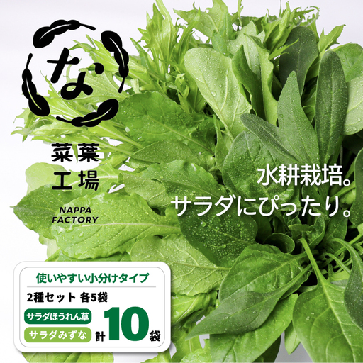 2種セット サラダほうれん草 みずな サラダセット | 水菜 ほうれんそう 水耕 栽培 新鮮 葉物 野菜 ドレッシング 南国市