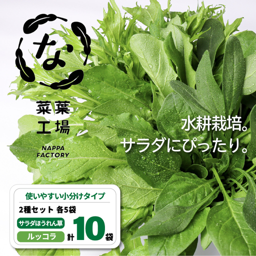 2種セット サラダほうれん草 ルッコラ サラダセット | ほうれんそう 水耕 栽培 新鮮 葉物 野菜 ドレッシング 南国市