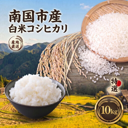 白米 コシヒカリ 10kg