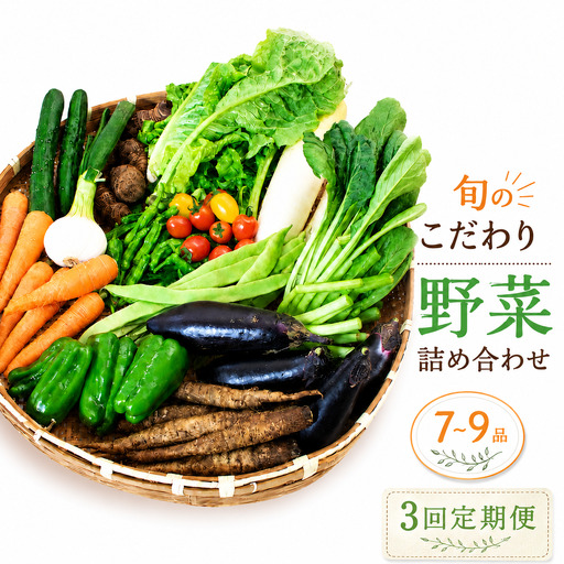 [先行予約] [3回定期便] 新鮮野菜セット(7〜9品)