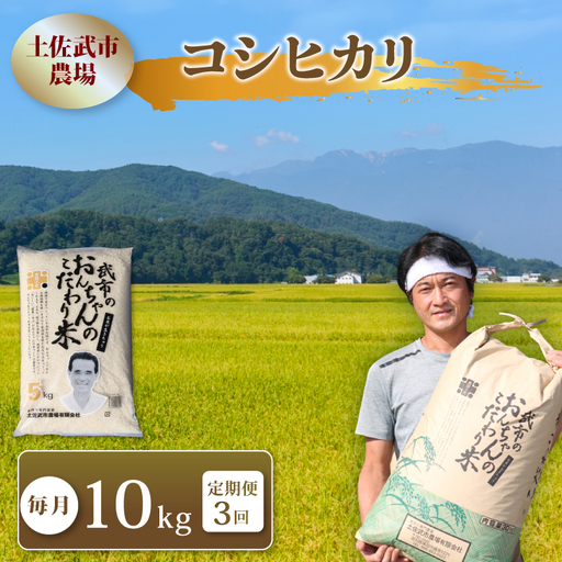 [先行予約] 新米 [3回定期便] 令和8年度 コシヒカリ 白米 10キロ