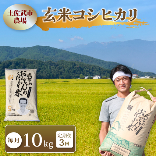 [先行予約] 新米 [3回定期便] 令和8年度 コシヒカリ 玄米 10キロ