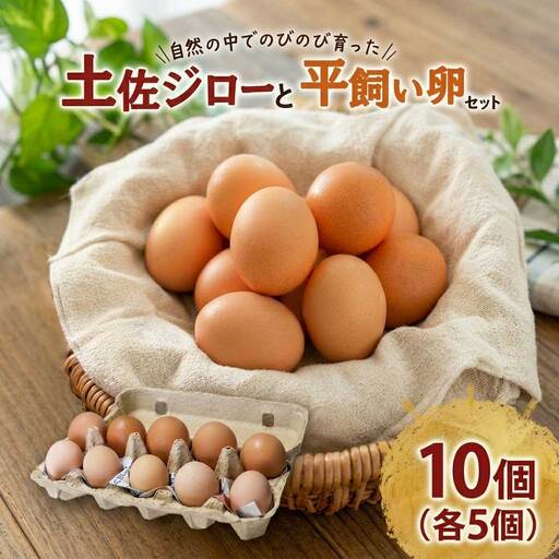 [土佐ジローの卵と平飼い卵 セット] 計10個(各5個)