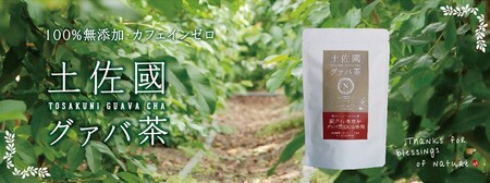 国産有機栽培グァバ葉100%使用 土佐國グァバ茶(2g×10包)