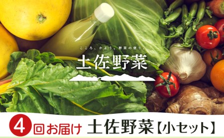 『定期便 全4回』【土佐野菜】旬の野菜の詰め合わせ　小セット