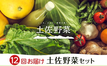 【全12回お届け】土佐野菜セット
