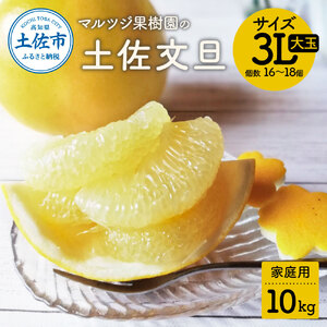 [先行予約受付]文旦 約10kg 大玉 家庭用 土佐文旦 ぶんたん ブンタン 期間限定 数量限定 サイズ3L 16〜18個 果物 柑橘 フルーツ 高知県産 ご自宅用 傷 変形 美味しい おいしい 春 旬