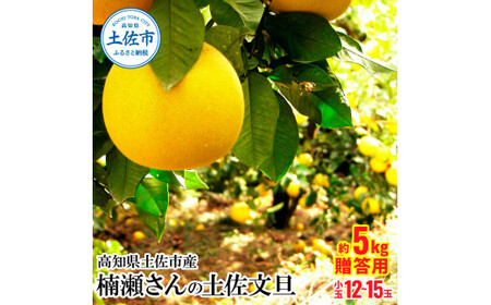 高知県土佐市産 楠瀬さんの土佐文旦 贈答用小玉 約5kg 期間限定 高知 土佐 文旦 ぶんたん ブンタン 柑橘 みかん 果物 5キロ M〜Lサイズ 12〜15玉 フルーツ 旬 ギフト 常温