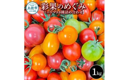 彩果のめぐみ 1kg ミニトマト とまと 詰め合わせ 新鮮野菜 トマト 美味しい 野菜 厳選 新鮮 夏野菜 サラダ ギフト 贈り物 数量限定 期間限定 フラガール ラブリーさくら 高知県 土佐市