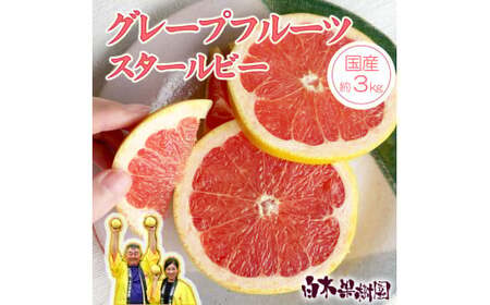 【果樹園直送】　先行予約　国産グレープフルーツ　スタールビー　約3kg　果物　柑橘　フルーツ　みかん　高知県土佐市　お取り寄せ 産地直送　白木果樹園