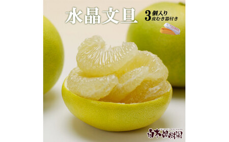 【先行予約】水晶文旦 柑橘皮むき器付き 約1.2kg Lサイズ （3個入り）〈2026年10月上旬?11月上旬頃発送〉  / 文旦 ブンタン ぶんたん 水晶文旦 果物 柑橘 フルーツ 秋 旬 故郷納税 ふるさとのうぜい 返礼品 高知県【白木果樹園】 [BQAI015]