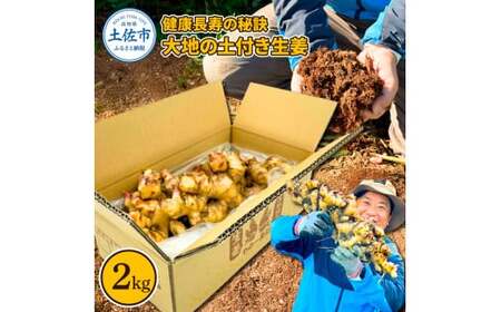 健康長寿の秘訣 大地の土付き生姜2kg 国産 生ショウガ しょうが ショウガ ジンジャー ジンジャーエール ショウガシロップ 生姜焼き 薬味 野菜 料理 健康 生姜湯 新鮮【やの一果彩】 [BQAC040]