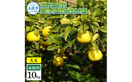 �y�����U�̑n�n �{�n���U���̓y�����U �ƒ�p3L ��� ��10�L�� 16�`19����