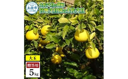 �y�����U�̑n�n �{�n���U���̓y�����U �����p3L ��� ��5�L�� 7�`9����