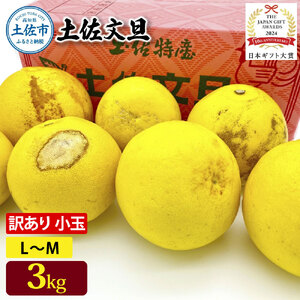日本ギフト大賞受賞 園主こだわり土佐文旦 訳あり 小玉(L〜M)3kg 3キロ 文旦 土佐文旦 ワケアリ ぶんたん ぼんたん フルーツ 果物 柑橘 みかん 蜜柑 家庭用 自宅用 高知 土佐 国産 常温