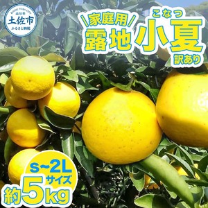 露地小夏 約5kg 小夏 訳あり 家庭用 S〜2Lサイズ こなつ 糖度13度以上 5キロ フルーツ 果物 デザート 柑橘 お取り寄せ おいしい 美味しい 減農薬 ご自宅用