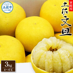 生産者直送 土佐文旦3.0kg[2L〜4L]家庭用 [2026年1月下旬より発送] 家庭用 文旦 柑橘 みかん フルーツ 果物 産地直送 お取り寄せ 人気 美味しい 名産 ふるさと納税 送料無料 返礼品 高知県 高知