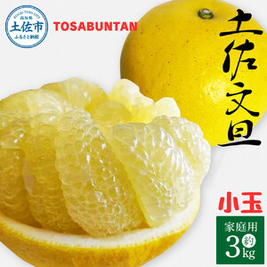 [2026年1月下旬より順次発送]土佐文旦 小玉 家庭用 3kg 7〜9玉入り M〜Lサイズ 先行予約 文旦 ぶんたん ブンタン 柑橘 フルーツ デザート 果物 ご当地 人気 名産 お取り寄せ 土佐 高知 土佐市