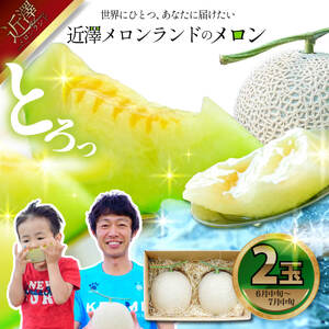 s\  Qʓi1ʖ1.4kg`1.8kgj 2026NĔ Ԍ  ߂ }XN rZ ʕ  t[c fU[g { nEX͔| 퉷z