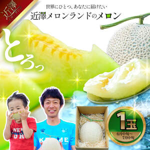 先行予約 メロン 1玉入(約1.4kg〜1.8kg)青肉 2026年夏発送 期間限定 メロン めろん マスクメロン 舐瓜 果物 くだもの フルーツ デザート 旬 ハウス栽培 常温配送