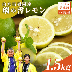 レモン 約1.5kg 4〜7個 璃の香レモン 果物 くだもの 柑橘 フルーツ れもん お取り寄せ 産地直送 おいしい 美味しい 白木果樹園 常温 配送 高知県 高知 土佐市