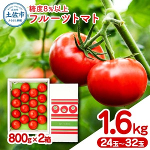 フルーツトマト 約1.6kg(約800g×2) 24〜32玉入り 糖度 8度以上 フルーツトマト ふるーつとまと とまと トマト 甘い 濃厚 美味しい 箱入り 野菜 料理 サラダ お取り寄せグルメ 高知県産