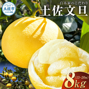 ؉Ƃ̂yU In U 8kg 13`20 L`3LTCY Ԃ񂽂 u^ ʕ k t[c  Yi  mY Mtg i 蕨 퉷 z