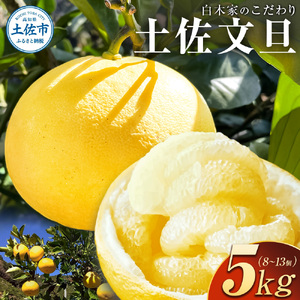 ���؉Ƃ̂������y�����U �I�n ���U ��5kg 8�`13���� L�`3L�T�C�Y���� �Ԃ񂽂� �u���^�� �ʕ� ���k �t���[�c ������ ���Y�i �������� ���m���Y �M�t�g �����i ���蕨 �퉷 �z��