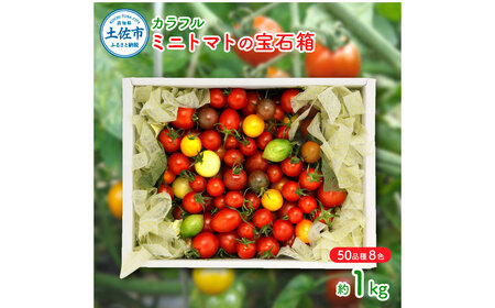 カラフルミニトマトの宝石箱 (約1kg) トマト ミニトマト とまと カラフルミニトマト 詰め合わせ カラフル トマト とまと 美味しい 野菜 高知県産
