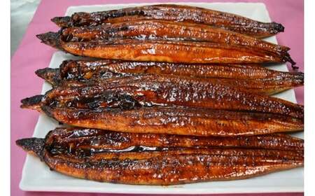 [数量限定!]仁淀川特大肉厚うなぎ8尾セット[株式会社山本養鰻] [BQAL003]