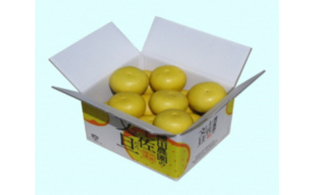 高知県産土佐文旦訳あり 商品 5kg[株式会社種田農園] [BQBW004]