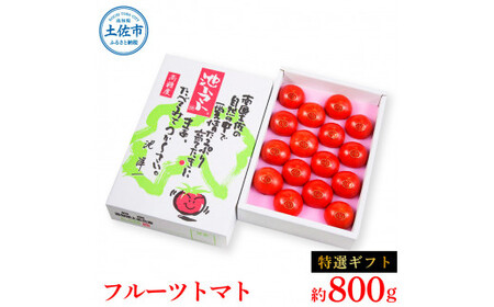 ＜2026年1月下旬より発送＞フルーツトマト特選ギフト約800g トマト フルーツトマト 池トマト 糖度10度以上 高糖度 高知県産 ギフト 箱入り 贈答用 贈り物 健康 美味しい ふるーつとまと お取り寄せグルメ