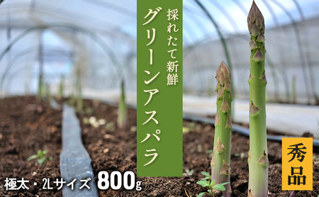 2L[秀品]800gグリーンアスパラ[北海道日高門別産] アスパラガス アスパラ 春野菜 春 朝採り 朝採れ 新鮮 農協 JA 直送 野菜