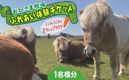 おひさま牧場ふれあい体験チケット(人参2カップ付き)