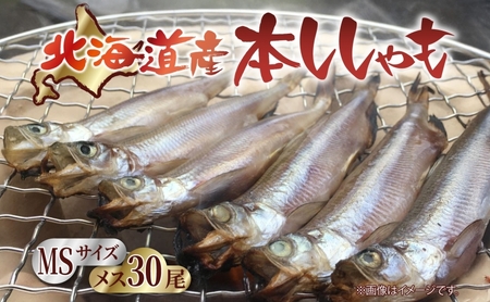 kCY Y  X MS 30Zbg {  X ܂  kCyY Gߌ قق q Y N[ Ⓚ  kC 