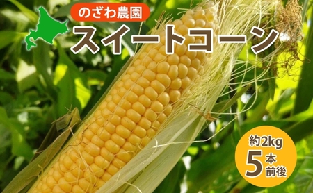 2025年 先行予約 [ のざわ農園 ]スイートコーン 5本 前後(約2kg) とうもろこし コーン とうきび 北海道 日高産