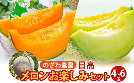 【2026年発送 先行予約】のざわ農園 日高 赤肉メロン 4～6玉 約8kg～9kg めろん メロン 赤い 甘い 夏 フルーツ 果実 ルピアレッド 糖度 甘み 濃厚 肥料 贈り物 お中元 お歳暮 常温 家族 デザート のざわ農園 北海道 日高町
