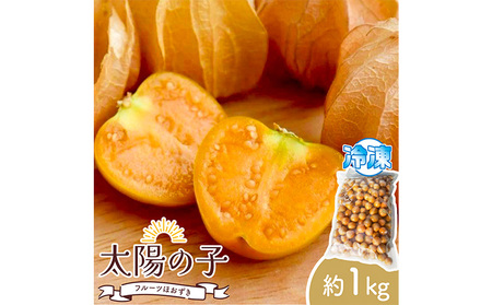 冷凍フルーツ ほおずき 太陽の子 約1kg のざわ農園[90日以内に出荷予定(土日祝除く)]北海道 日高町 希少 ホオズキ