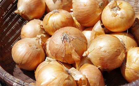 kC Y ʂ˂ 18kg Y kCY  Yn 