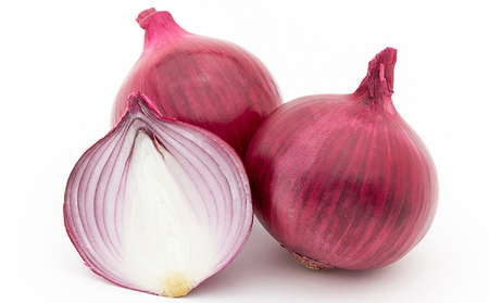 kC Y ʂ˂ 18kg Y kCY  Yn 