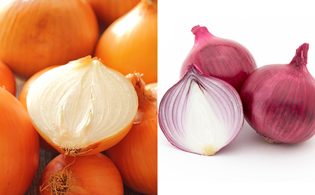 北海道 日高産 玉ねぎ2種 玉ねぎ約13kg 紫玉ねぎ約5kg 国産 北海道産 野菜 産地直送 お取り寄せ