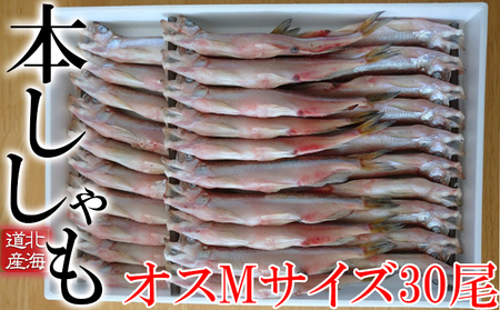 北海道産 ししゃも[オス]M30尾 魚介類 ししゃも 魚 海鮮 海の幸 北海道 本ししゃも Mサイズ オス