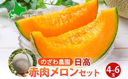 [ ふるさと納税 ]のざわ農園 日高 赤肉メロン 4〜6玉 約8kg〜9kgめろん メロン 甘い 夏 フルーツ 果実 ルピアレッド 糖度 甘み 濃厚 肥料 贈り物 お中元 お歳暮 常温 冷蔵庫 家族 デザート のざわ農園 北海道 日高町