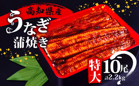 うなぎ 国産 高知県産 鰻 蒲焼き 220g×10尾 セット 蒲焼きのタレ 付き 冷凍 高知県 須崎 ( 台湾産 肉厚 ウナギ 蒲焼 タレ付き ふっくら 香ばしい うなぎ 鰻蒲焼 台湾産 養殖 養殖 惣菜 温めるだけ 簡単調理 3回 定期便 )